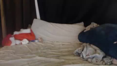 Snapshot of lisa_tyler chatting on December 2024 07:40:02 AM Lisa Tyler online show from December 2024 07:40:02 AM