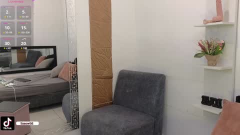 Snapshot of lissawild_ chatting on January 2025 11:15:02 PM ss  online show from January 2025 11:15:02 PM