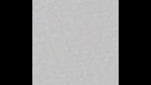 Snapshot of little_pearl_ chatting on February 2026 05:39:01 AM Adaline online show from February 2026 05:39:01 AM