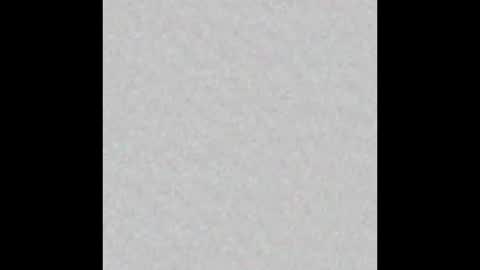 Snapshot of little_pearl_ chatting on February 2026 05:33:02 AM Adaline online show from February 2026 05:33:02 AM