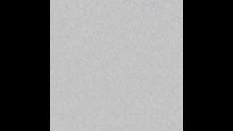 Snapshot of little_pearl_ chatting on March 2026 05:41:01 AM Adaline online show from March 2026 05:41:01 AM