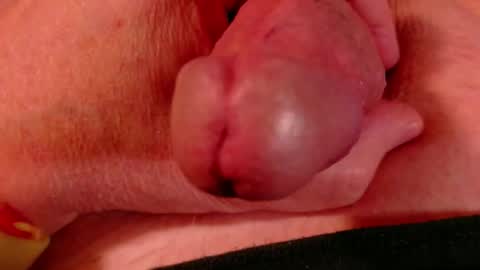 Littlebits online show from February 2026 04:43:01 AM