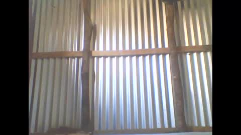 yanah online show from November 2025 05:40:01 AM