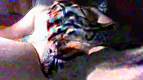 litwinpaweel online show from October 2025 10:21:02 PM