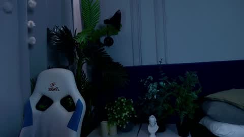 Liv 3 online show from January 2025 12:54:01 PM