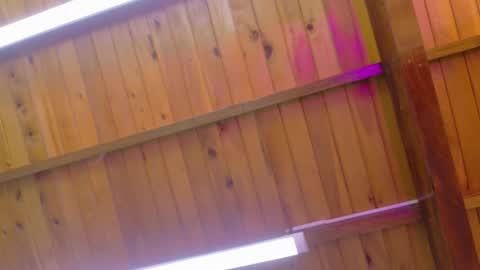  LIZBETH ROSS  online show from January 2026 10:18:02 AM