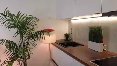 Hello there im Amelia Im new here Lets have fun online show from March 2025 03:01:01 AM