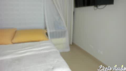 Snapshot of lizzieamber chatting on January 2025 11:03:01 AM lizzieamber online show from January 2025 11:03:01 AM