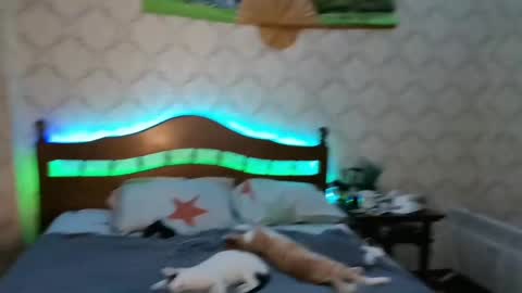 Sevy online show from January 2025 09:12:01 PM