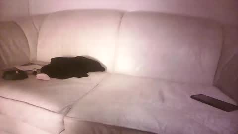 Snapshot of lms_celebi chatting on September 2025 04:25:02 AM lms_celebi online show from September 2025 04:25:02 AM