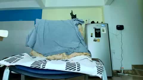 Snapshot of lobo_cockk chatting on February 2026 08:18:01 PM edwin online show from February 2026 08:18:01 PM