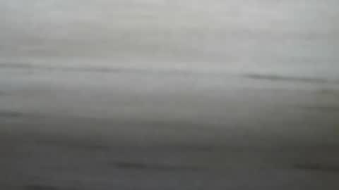 Snapshot of lockedpeepee chatting on January 2025 08:18:02 PM lockedpeepee online show from January 2025 08:18:02 PM