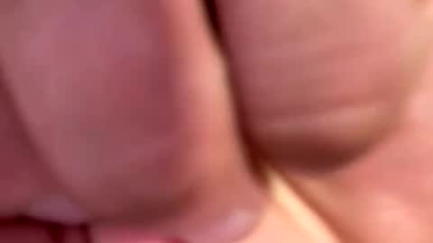 locsgunna916 online show from June 2026 03:31:01 AM