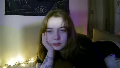 Snapshot of lollylol11 chatting on February 2025 02:24:01 PM Lilly online show from February 2025 02:24:01 PM