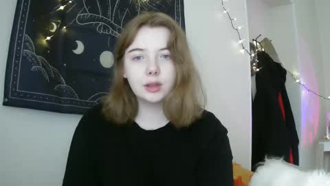 Snapshot of lollylol11 chatting on February 2025 12:43:02 PM Lilly online show from February 2025 12:43:02 PM