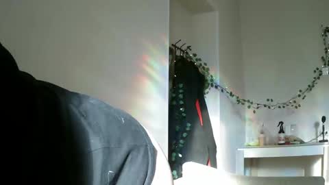Snapshot of lollylol11 chatting on February 2025 11:38:02 AM Lilly online show from February 2025 11:38:02 AM