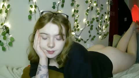 Snapshot of lollylol11 chatting on March 2025 07:09:02 PM Lilly online show from March 2025 07:09:02 PM