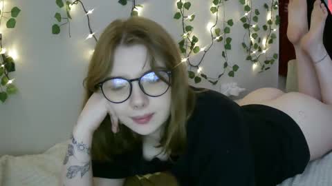 Snapshot of lollylol11 chatting on March 2025 02:32:02 PM Lilly online show from March 2025 02:32:02 PM