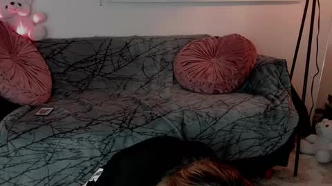 Snapshot of lollypetitte_ chatting on February 2026 05:16:02 AM Lolly online show from February 2026 05:16:02 AM