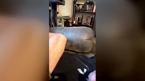 longhairhunky online show from March 2026 11:35:01 PM