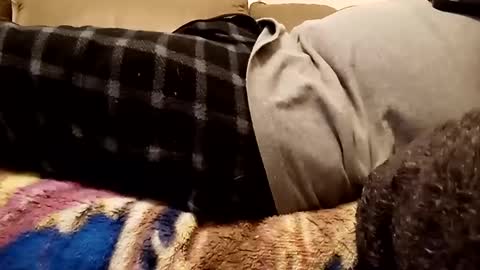 looking4bush online show from December 2024 10:43:01 PM