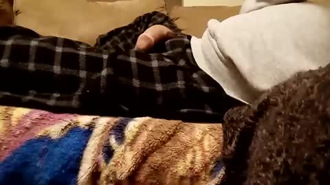 looking4bush online show from December 2024 07:21:01 AM