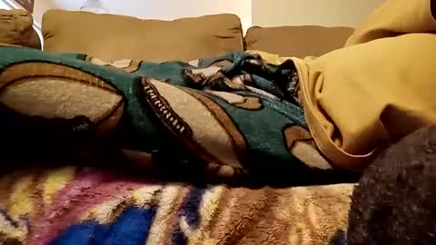 looking4bush online show from December 2024 08:04:01 PM