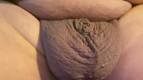 2791 3D online show from April 2026 12:12:01 AM