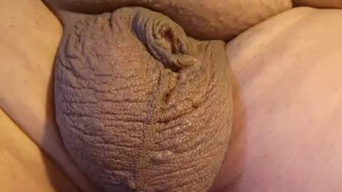 2791 3D online show from April 2026 10:40:02 PM