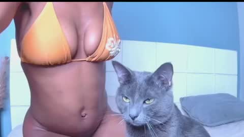 Blackcat online show from March 2026 12:00:02 AM