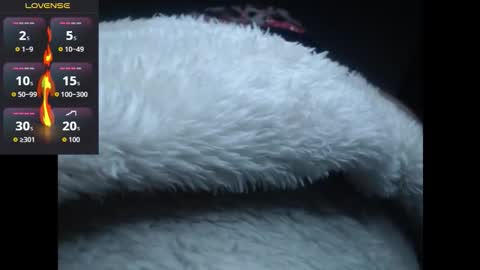 lorenitha online show from October 2025 02:59:02 AM