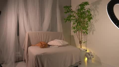 Lorrie online show from November 2025 11:21:01 AM