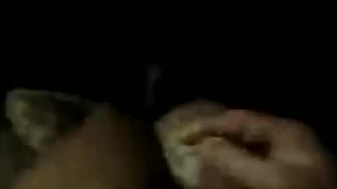 Snapshot of lostin69dremes chatting on July 2026 10:10:02 AM LostinDremes online show from July 2026 10:10:02 AM