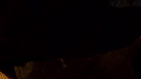 lostinspaxe online show from November 2025 05:21:02 AM