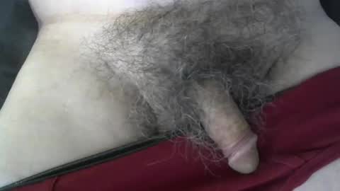 loveabush49 online show from September 2025 08:57:01 PM