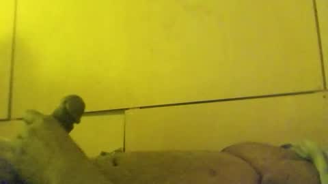 lovebignip online show from February 2026 11:41:01 AM
