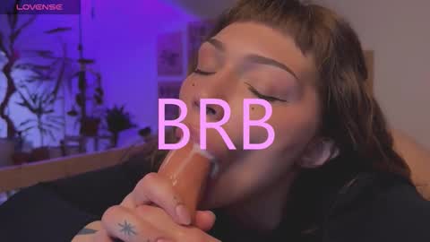 Elsa online show from December 2025 05:34:01 AM