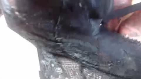 Snapshot of lover_mature2 chatting on February 2025 09:14:02 PM Mature lover2 online show from February 2025 09:14:02 PM