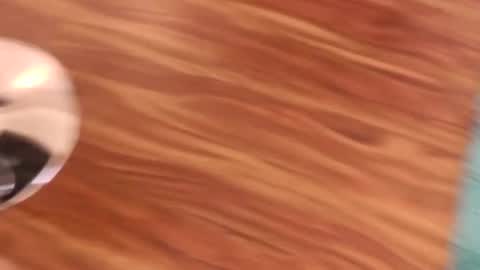 lovingcouple1969 online show from February 2026 02:21:02 PM