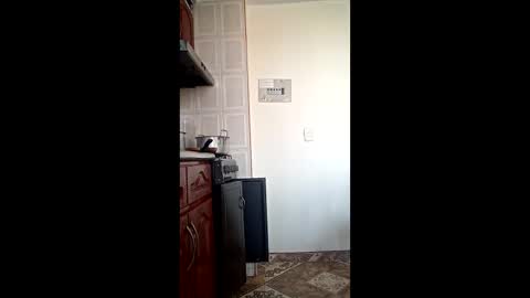 luana363 online show from February 2026 03:27:02 PM