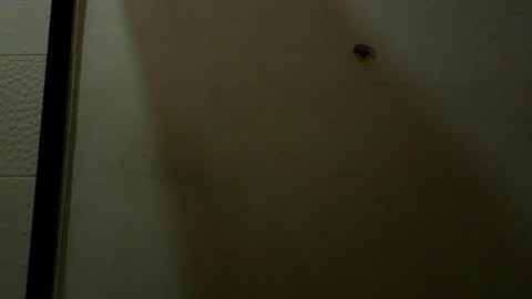 Snapshot of luci_ramirez chatting on May 2026 09:42:01 PM Luciana Ramirez Sofia Collins online show from May 2026 09:42:01 PM