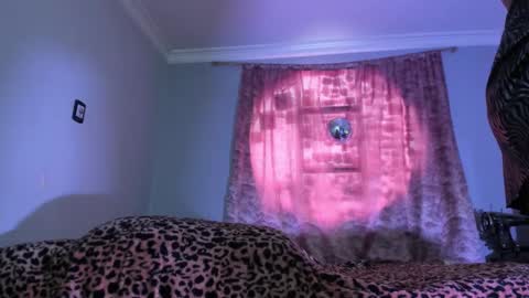 Luciana Evans online show from November 2025 03:23:02 PM