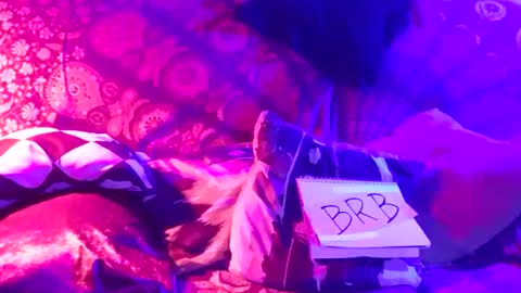 Snapshot of luckazy chatting on January 2025 06:52:01 AM Lucky Eid Azy online show from January 2025 06:52:01 AM