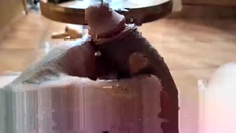 Snapshot of lucky_og24 chatting on December 2024 10:37:01 PM lucky_og24 online show from December 2024 10:37:01 PM