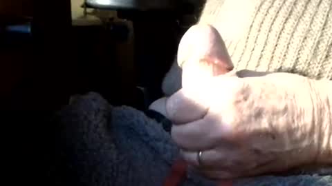 Snapshot of luckypirateboy chatting on March 2026 10:08:02 AM BIG Daddy cock. Tips make it harder online show from March 2026 10:08:02 AM