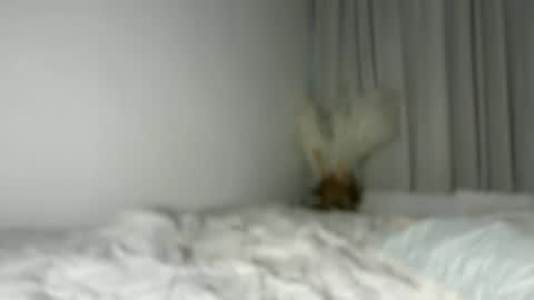 lucyforr online show from August 2026 04:23:02 AM