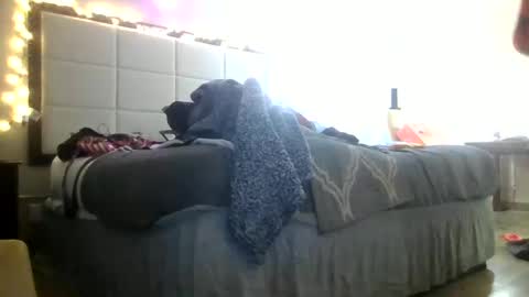 Snapshot of lucyloveslookers78240 chatting on January 2025 01:28:02 AM Lucy Loves Lookers online show from January 2025 01:28:02 AM