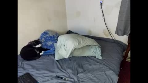 Snapshot of lukeandali23 chatting on February 2025 03:30:02 AM Lukeandali420 online show from February 2025 03:30:02 AM