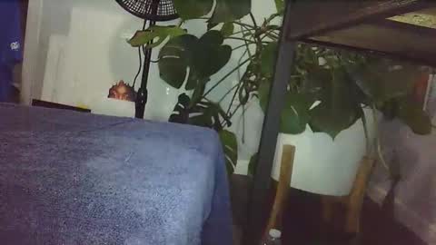 Luke online show from February 2026 09:00:02 PM