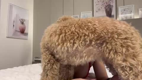 Snapshot of lulu21lulu chatting on March 2026 05:22:01 AM lulu21lulu online show from March 2026 05:22:01 AM